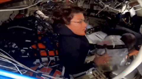 Nutella seen aboard the Orion spacecraft Integrity.