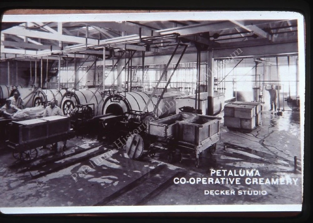 AI Agents Help Petaluma Creamery Recover