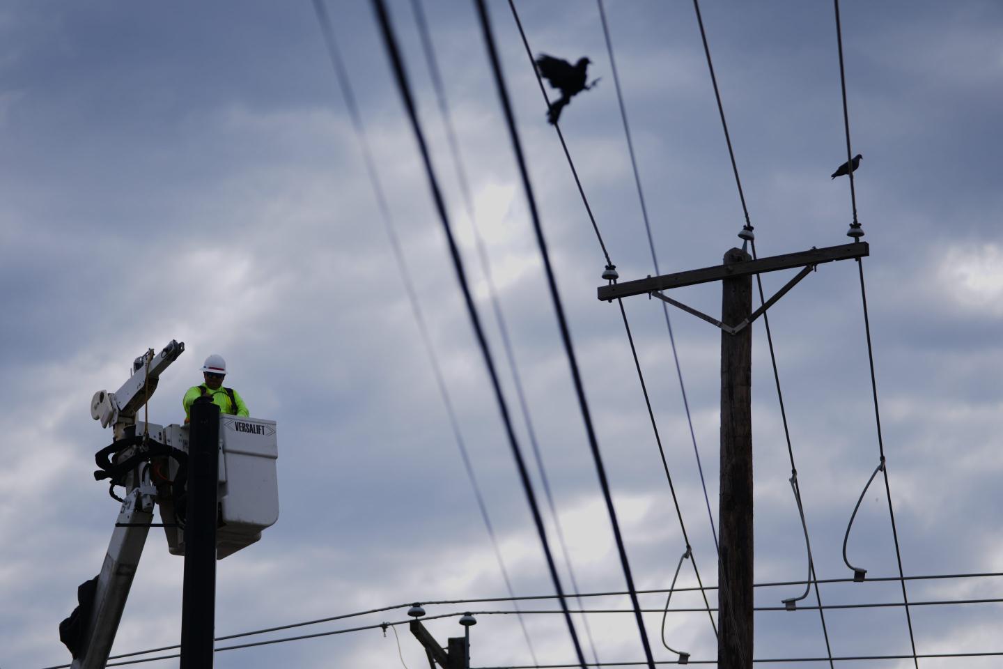 A City of Arlington utility worker labors on a transportation infrastructure pole, Friday, May 15, 2026, in Arlington, Texas.