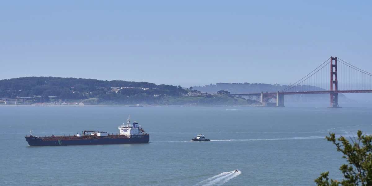 San Francisco thinks AI can save the whales. Here's how | Fortune