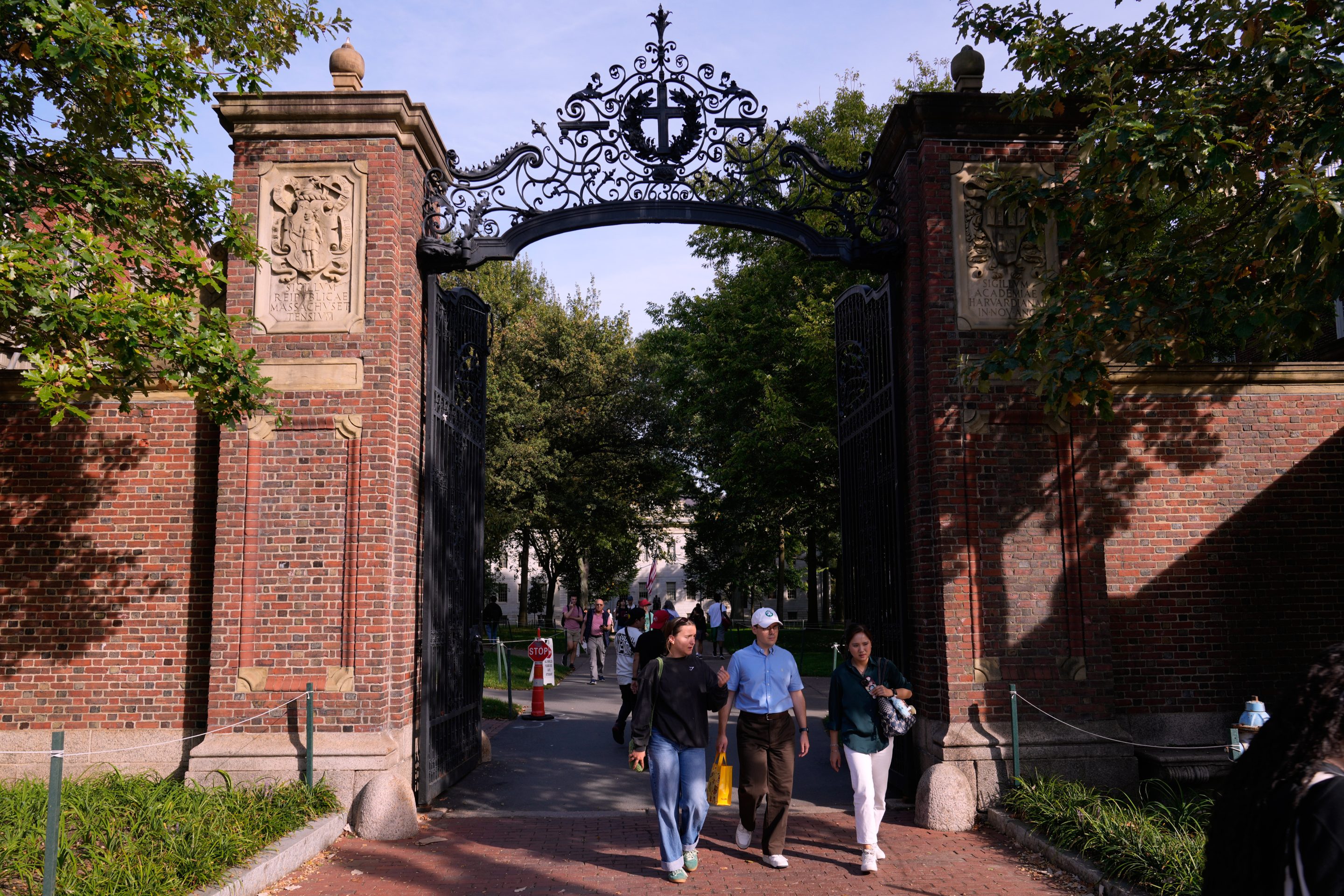 Harvard admits it was too easy to get A grades, vows crackdown | Fortune