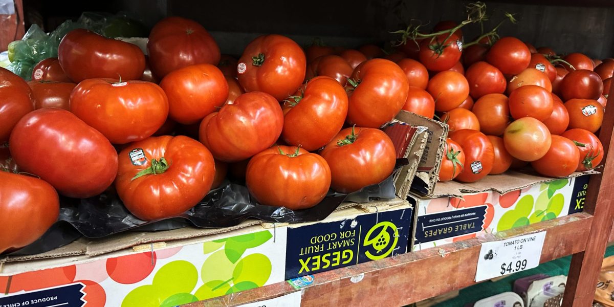 Tomat Kini Jadi Simbol Terbaru Krisis Daya Beli Akibat Lonjakan Harga 40% dari Tahun Lalu
