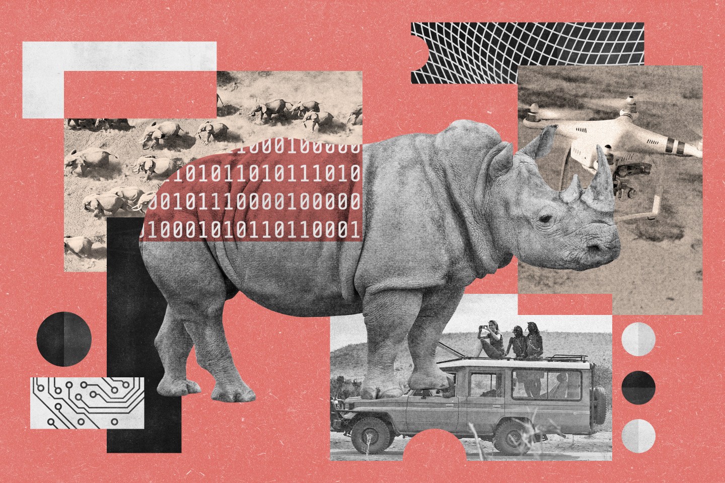 How EarthRanger uses AI to help protect endangered species—and boost the wildlife tourism industry