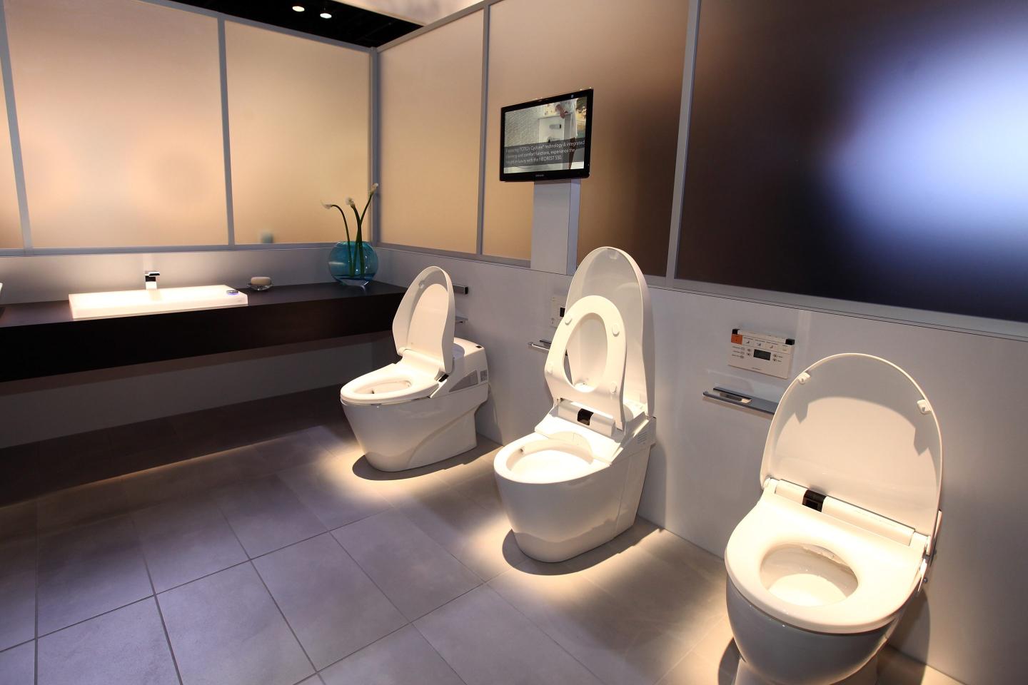 Not the Allbirds effect: Japan’s top bidet maker Toto has been quietly making chip supplies for decades, and the stock market finally noticed