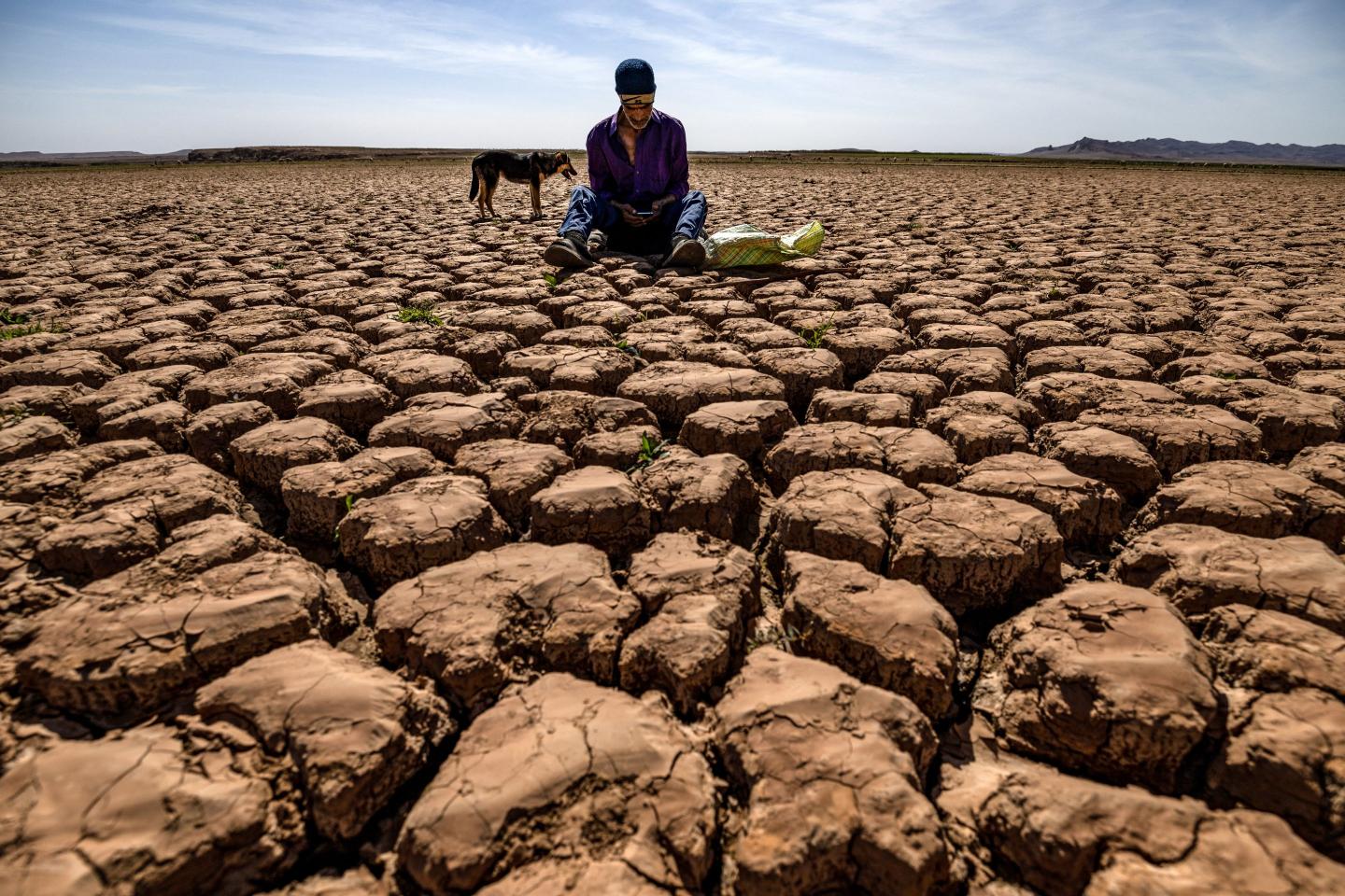 A rare ‘super’ El Niño is looking more likely. Here’s what to expect