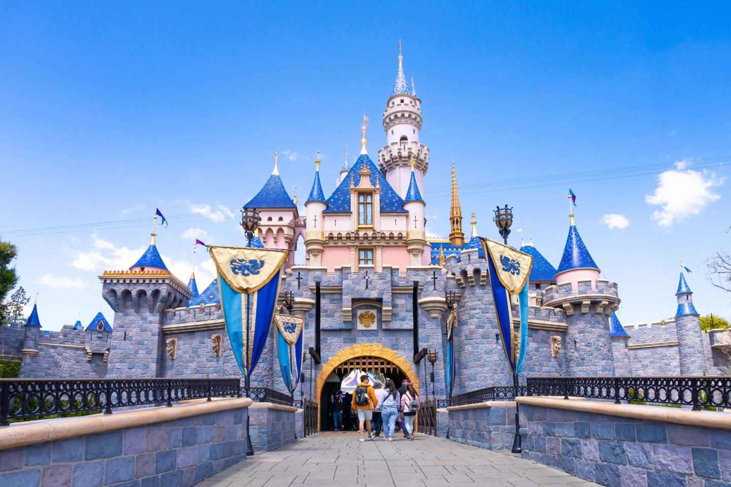 Disney’s new CEO is exploring a ‘super app’ for theme park tickets, movies and more