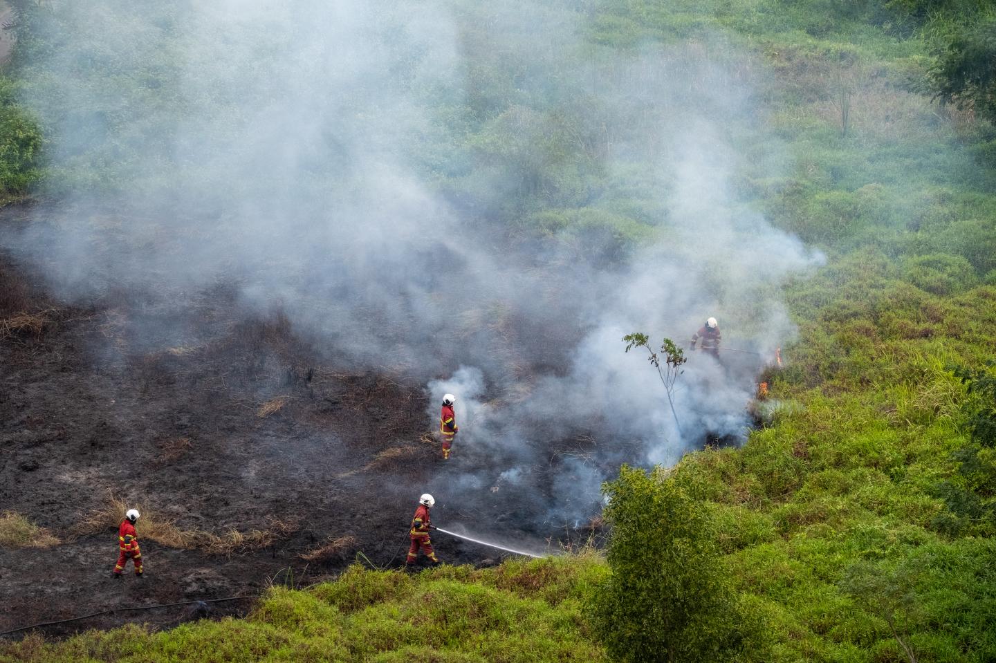Asia is already grappling with a fuel crisis. A ‘Super El Nino’ threatens to make things worse