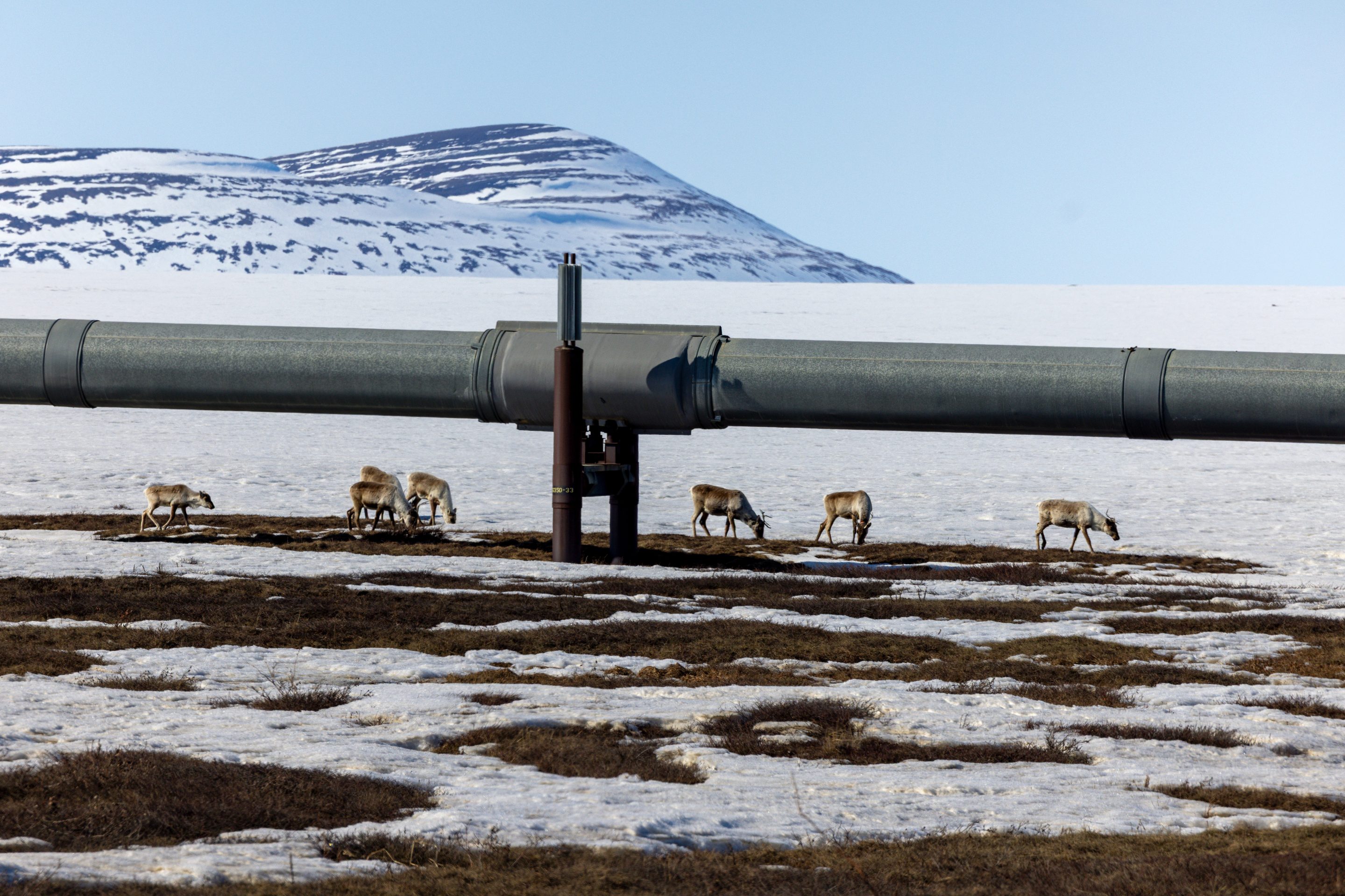 fortune.com - Jennifer A. Dlouhy - Alaska's oil revival sparks a new energy rush Into the Arctic