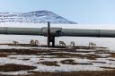 Alaska’s oil revival sparks a new energy rush Into the Arctic
