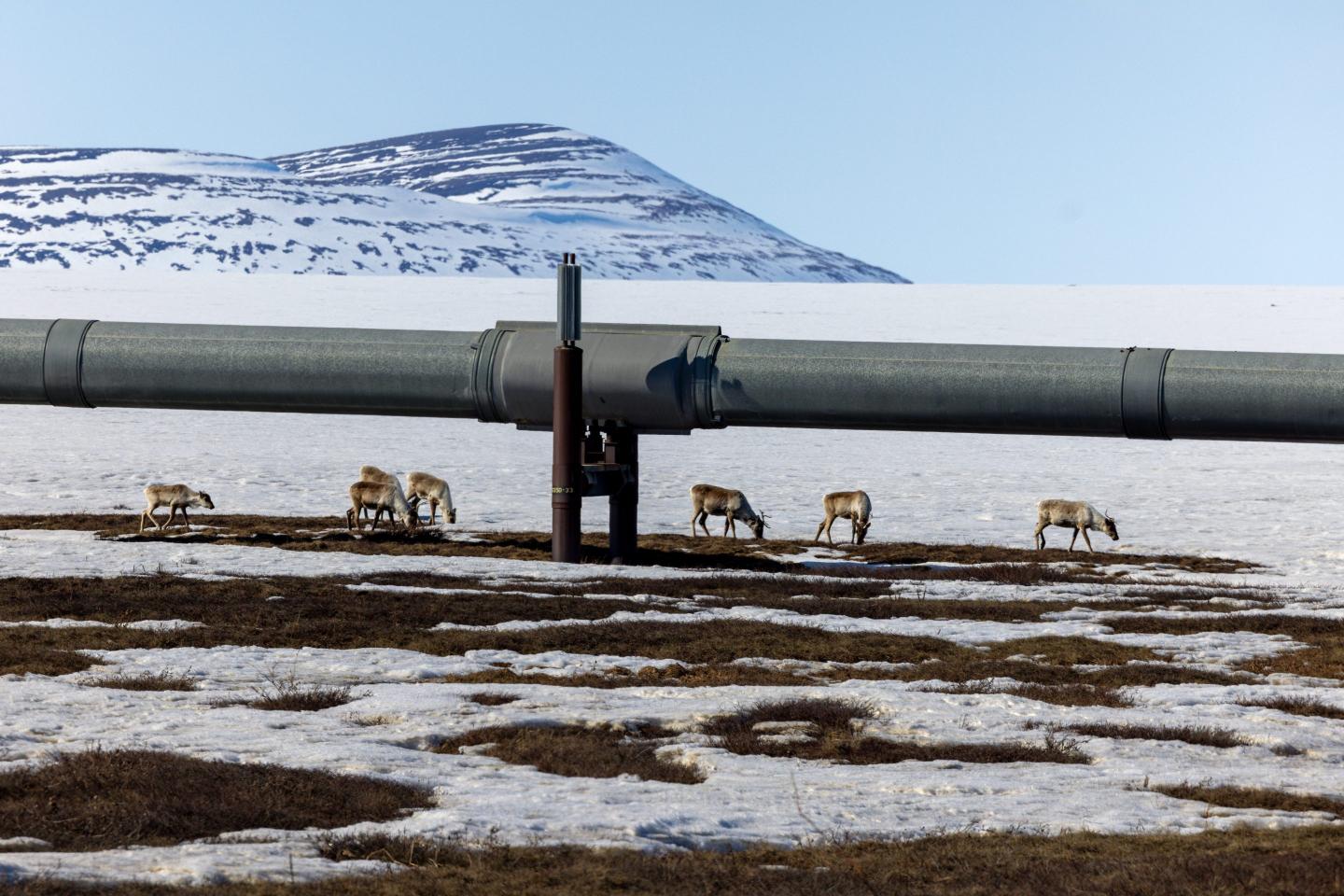 Alaska’s oil revival sparks a new energy rush Into the Arctic