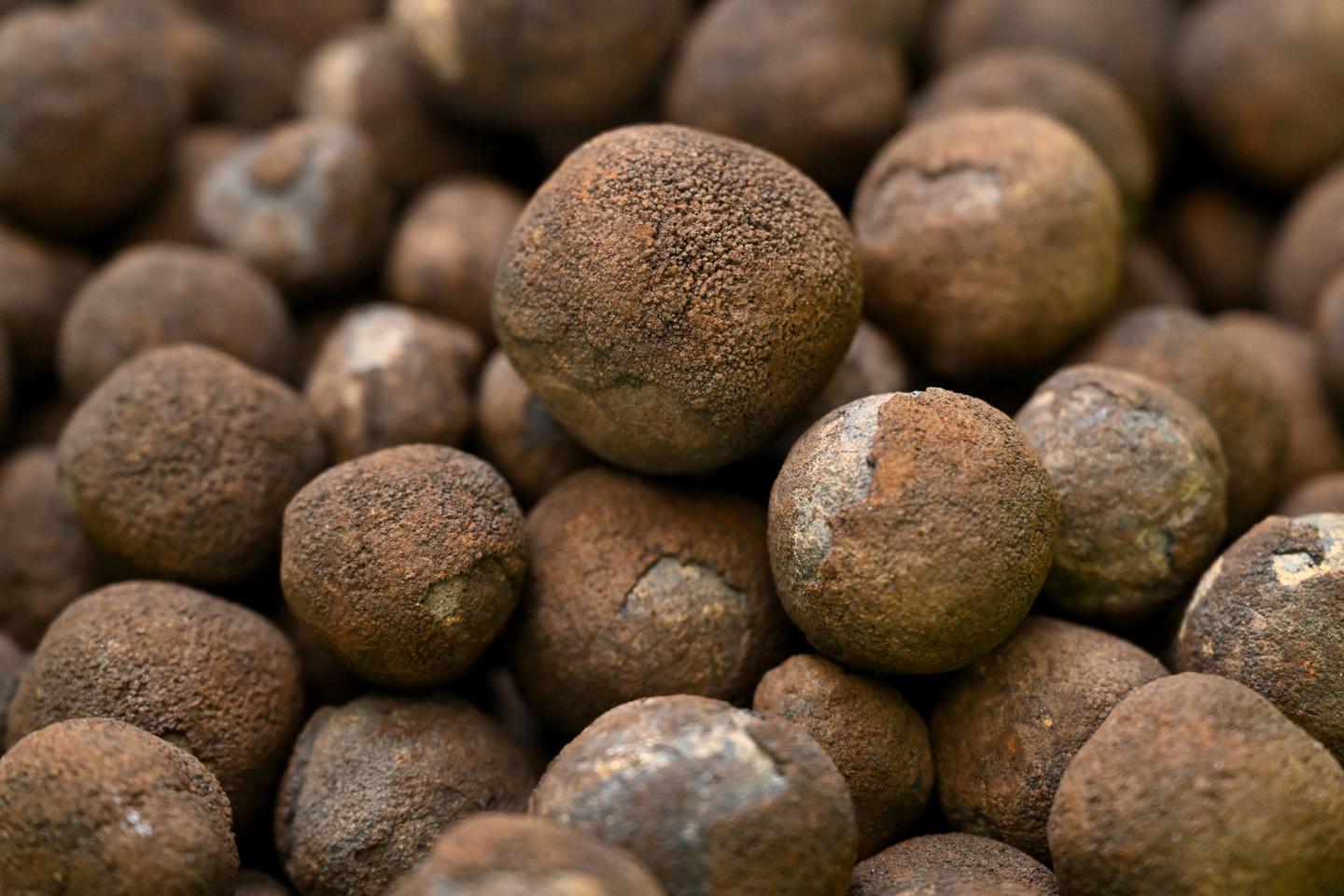 polymetallic nodules