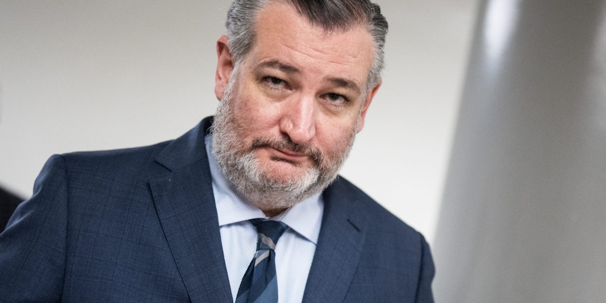 Ted Cruz says Trump accounts are Social Security personal accounts, revealing ‘dirty little secret’