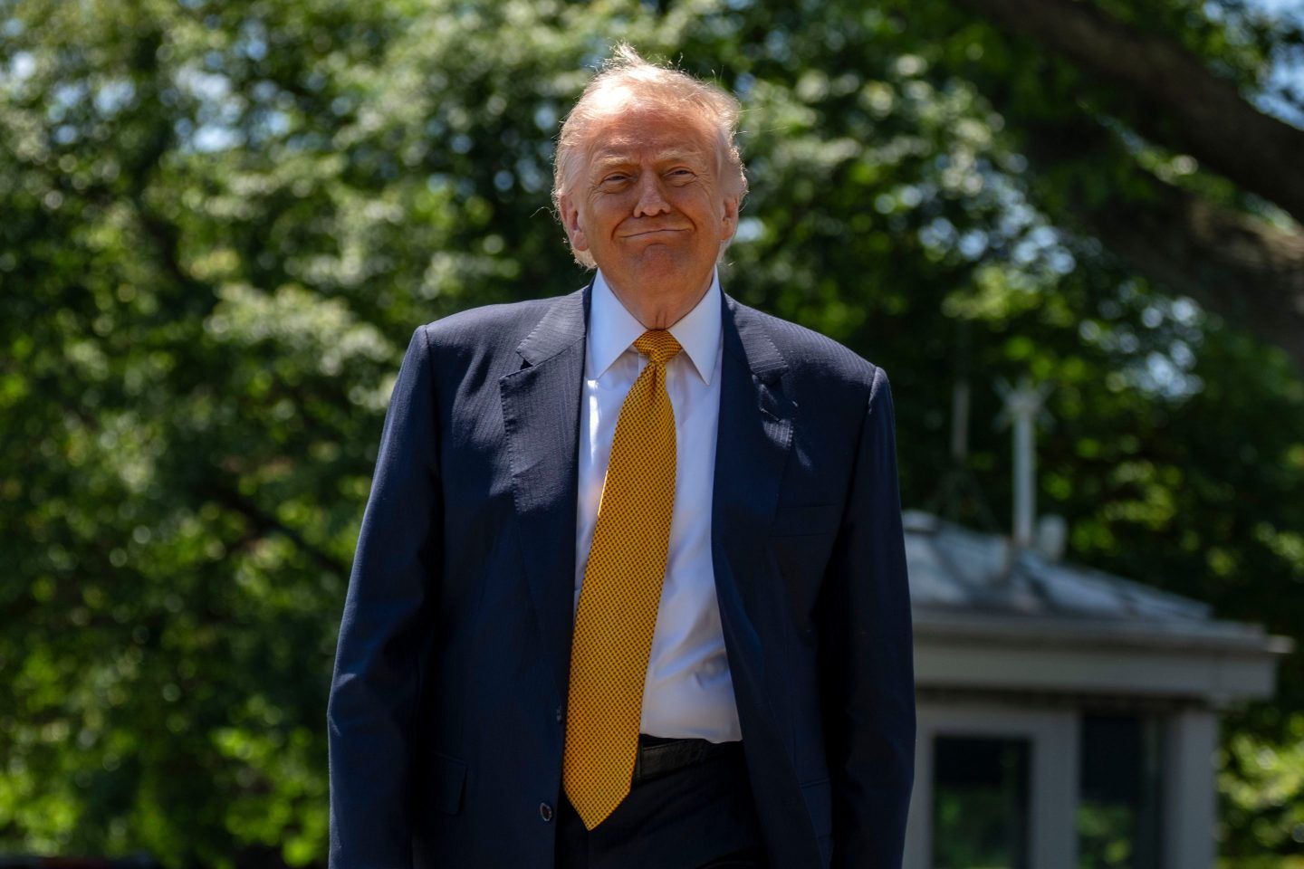 Donald Trump smiles