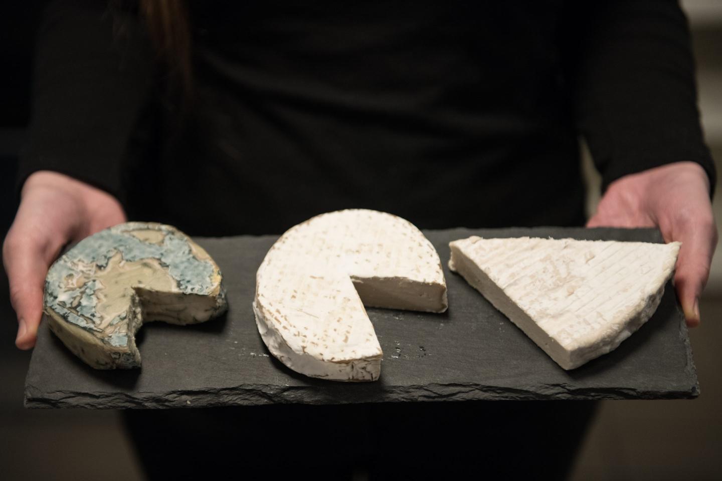 Photo of vegan cheese products