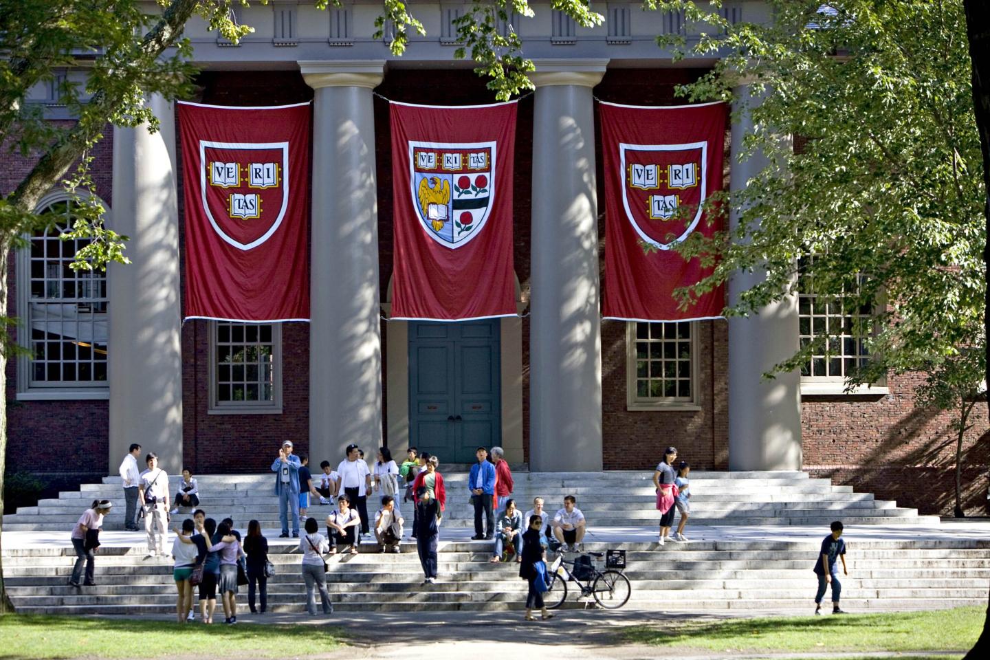 Harvard University banners hang in front of a building