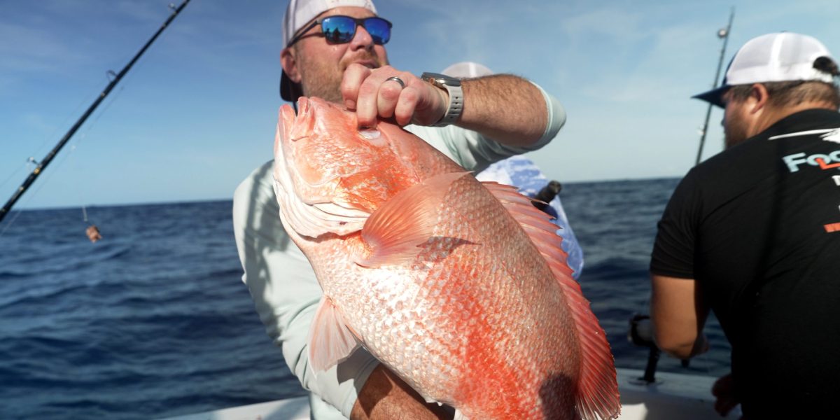 Send it overboard': Federal judge just halted the longest red snapper season in years | Fortune