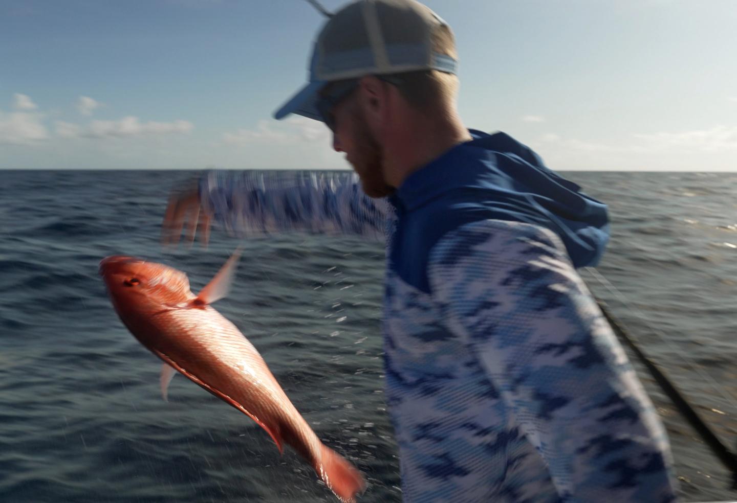 fish