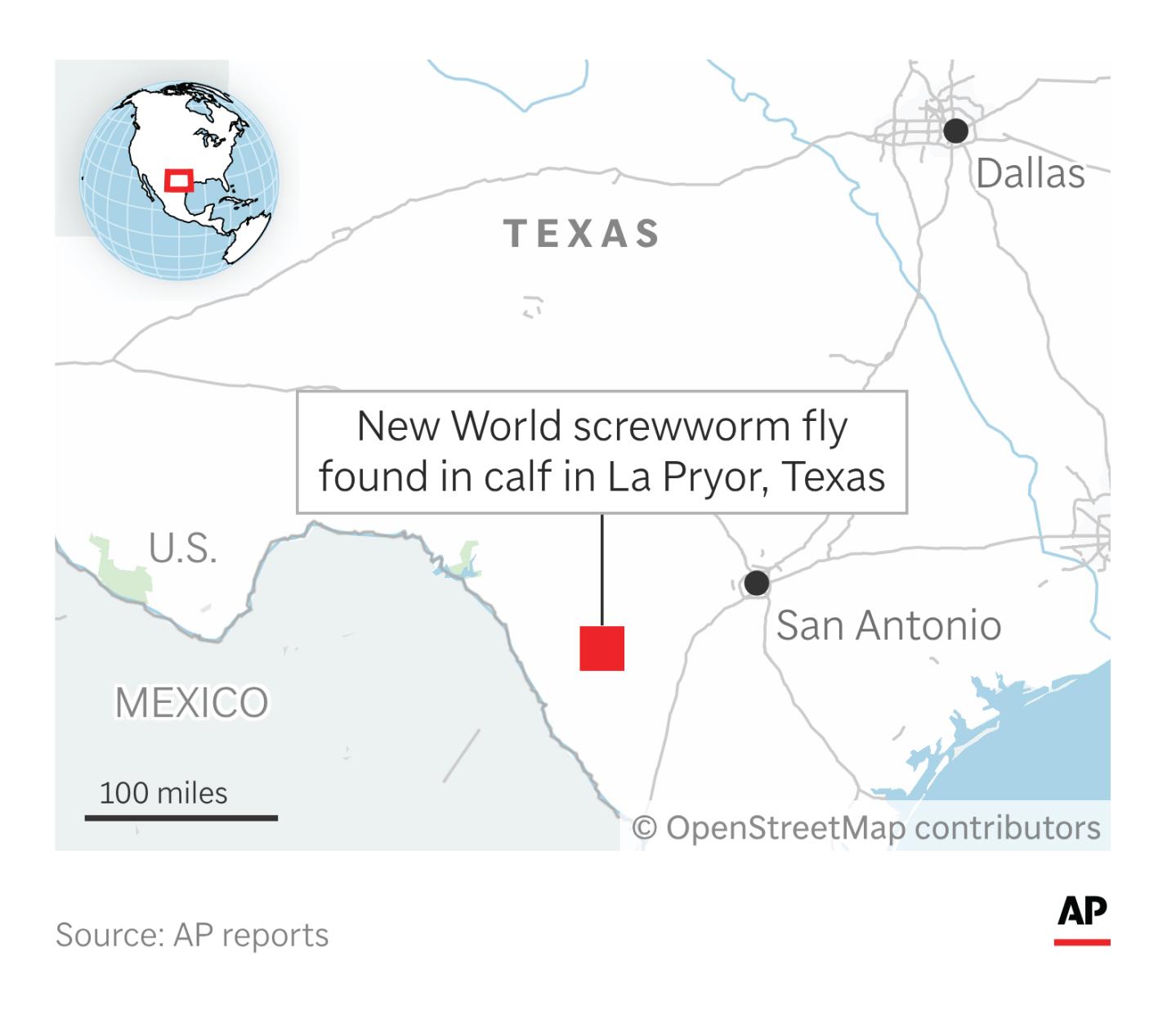 A flesh-eating fly just crossed into Texas. The last time it did, it took 30 years to stop