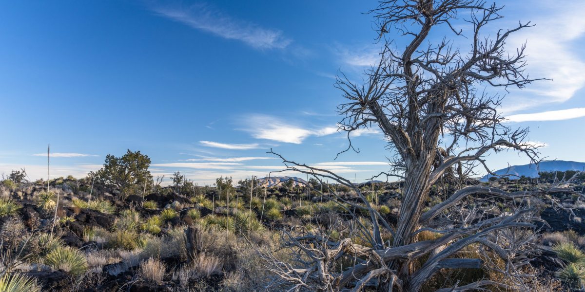 OpenAI and Oracle are building one of the U.S.’ biggest data centers in NM, which is in drought