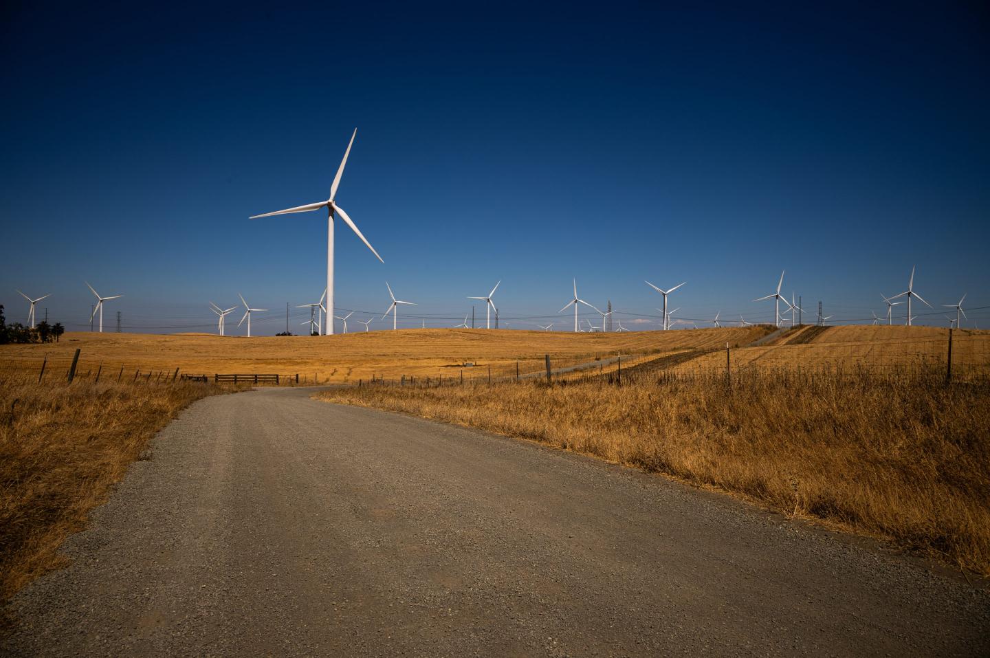 Wind turbines on yellow grass