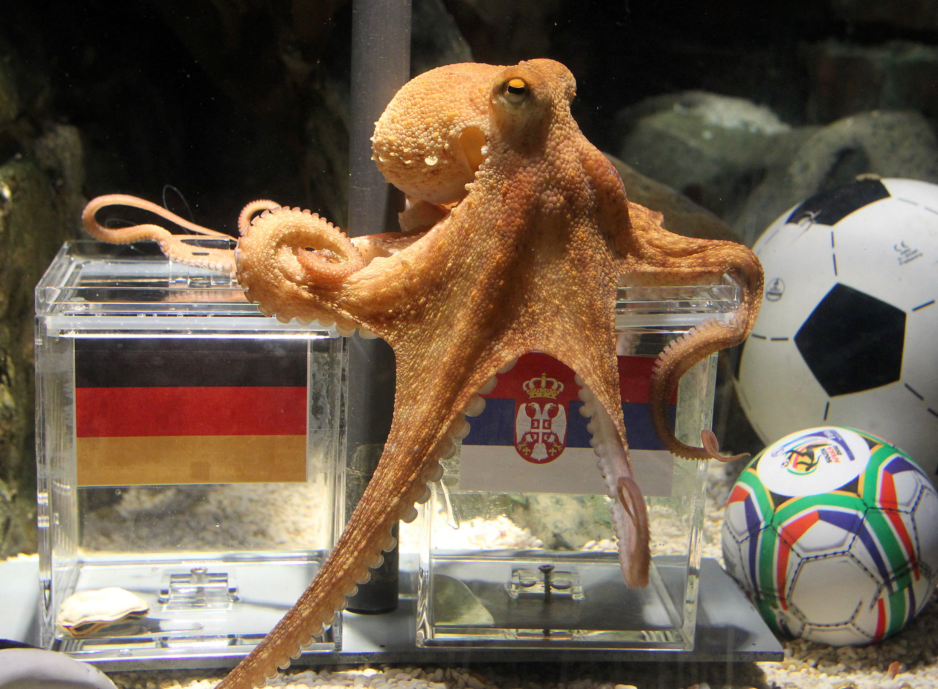 fortune.com - Achim Zeileis - Machine learning gives the U.S. a 1% chance of winning the World Cup final in its own backyard