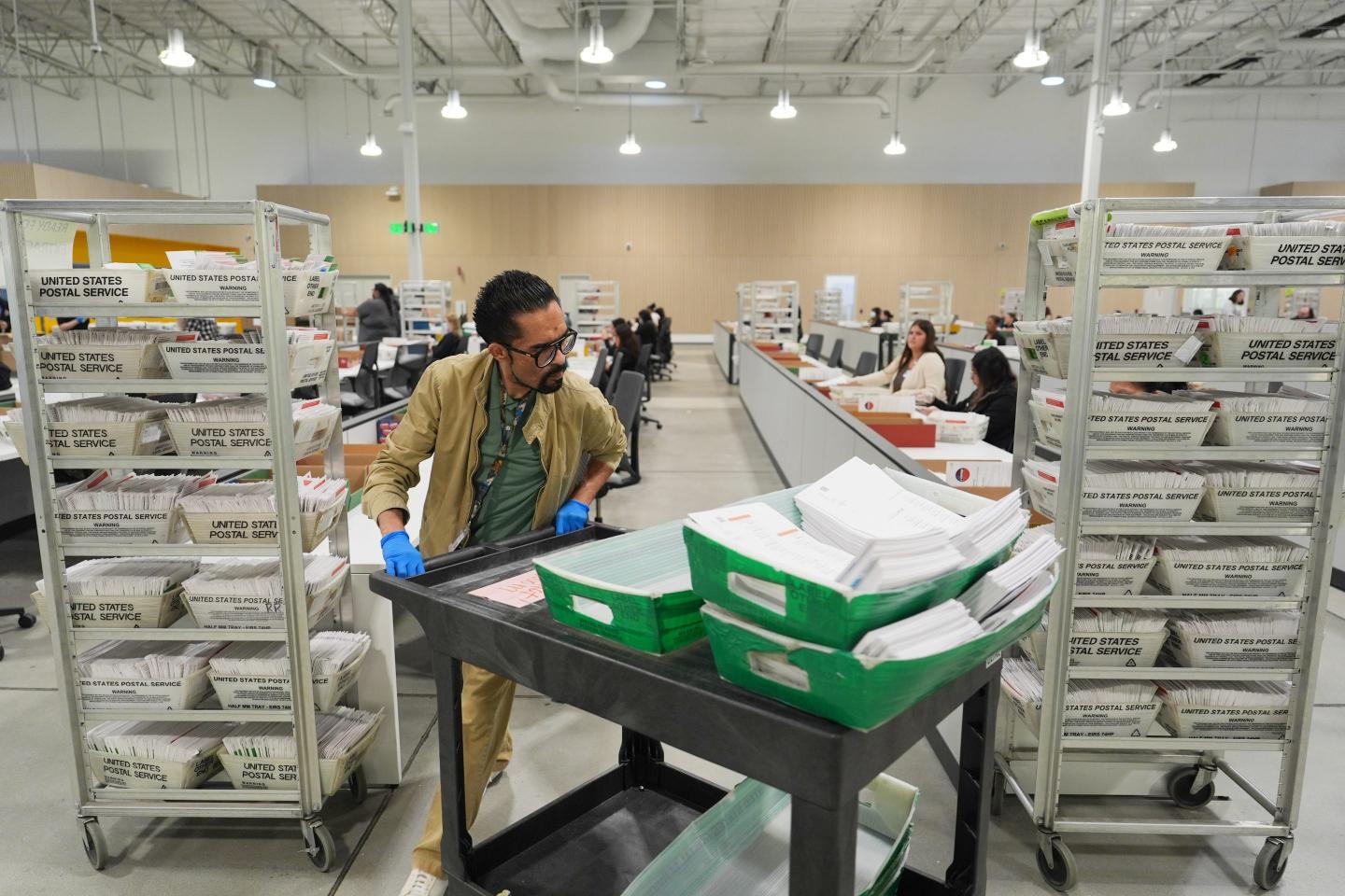 Photo of ballots being counted and sorted