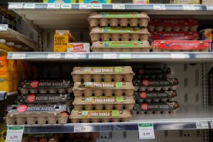 Egg companies made $1.22 billion in profit off a $6 carton — now they’re buying their way out of a price-fixing case with 53 million donated eggs
