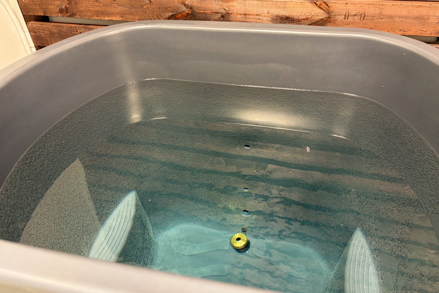 Nordic Wave Cold Plunge Review