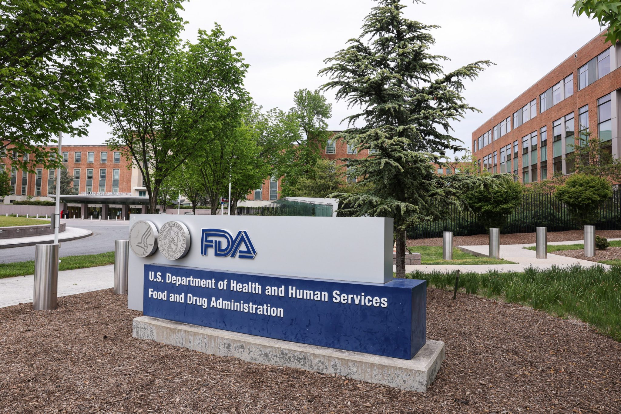 FDA Trust Plummets: Political Interference Fears