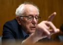 bernie