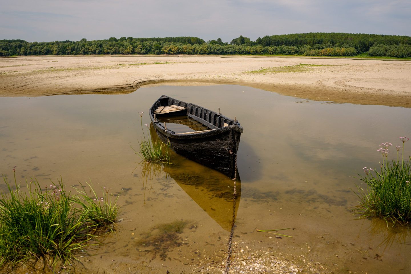 The Danube is running dry, and Europe’s power grid is suffering as a result