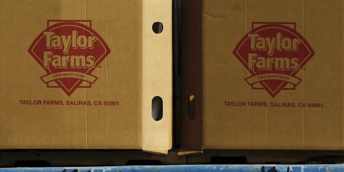 Taylor Fresh Foods Recalls Jalapeños Due to Potential Salmonella Contamination Taylor Fresh Foods Recalls Jalapeños Due to Potential Salmonella Contamination