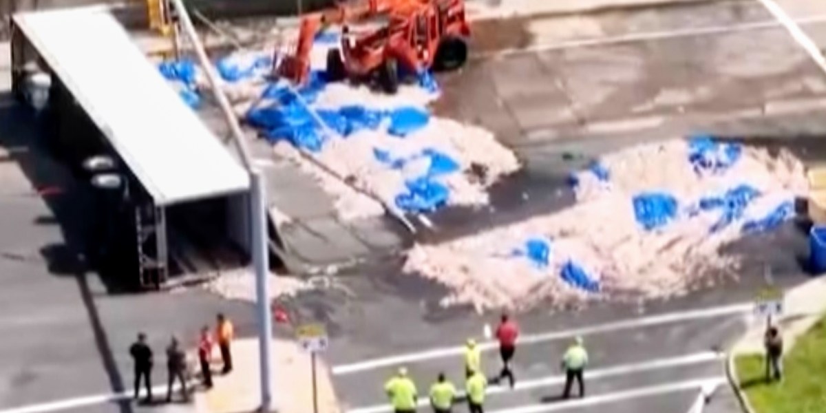 'Squid Has a Distinctive Odor to It': Seafood Truck Crash in Rhode Island Creates 'Squidpocalypse of ’26'