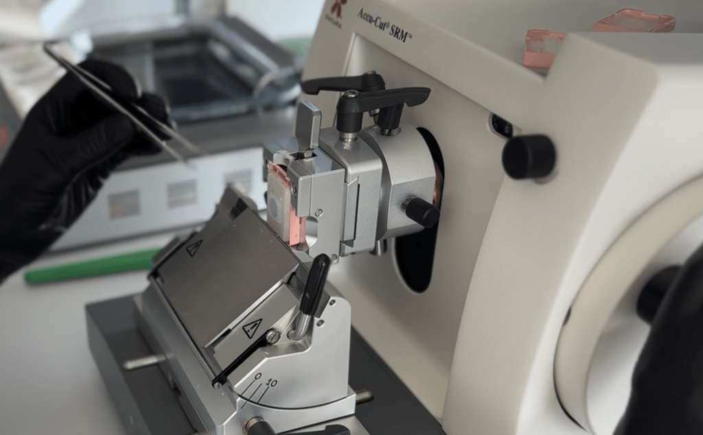 Former OpenAI Exec Fidji Simo Battles Chronic Illness, Launches Startup to Find Cure Former OpenAI Exec Fidji Simo Battles Chronic Illness, Launches Startup to Find Cure
