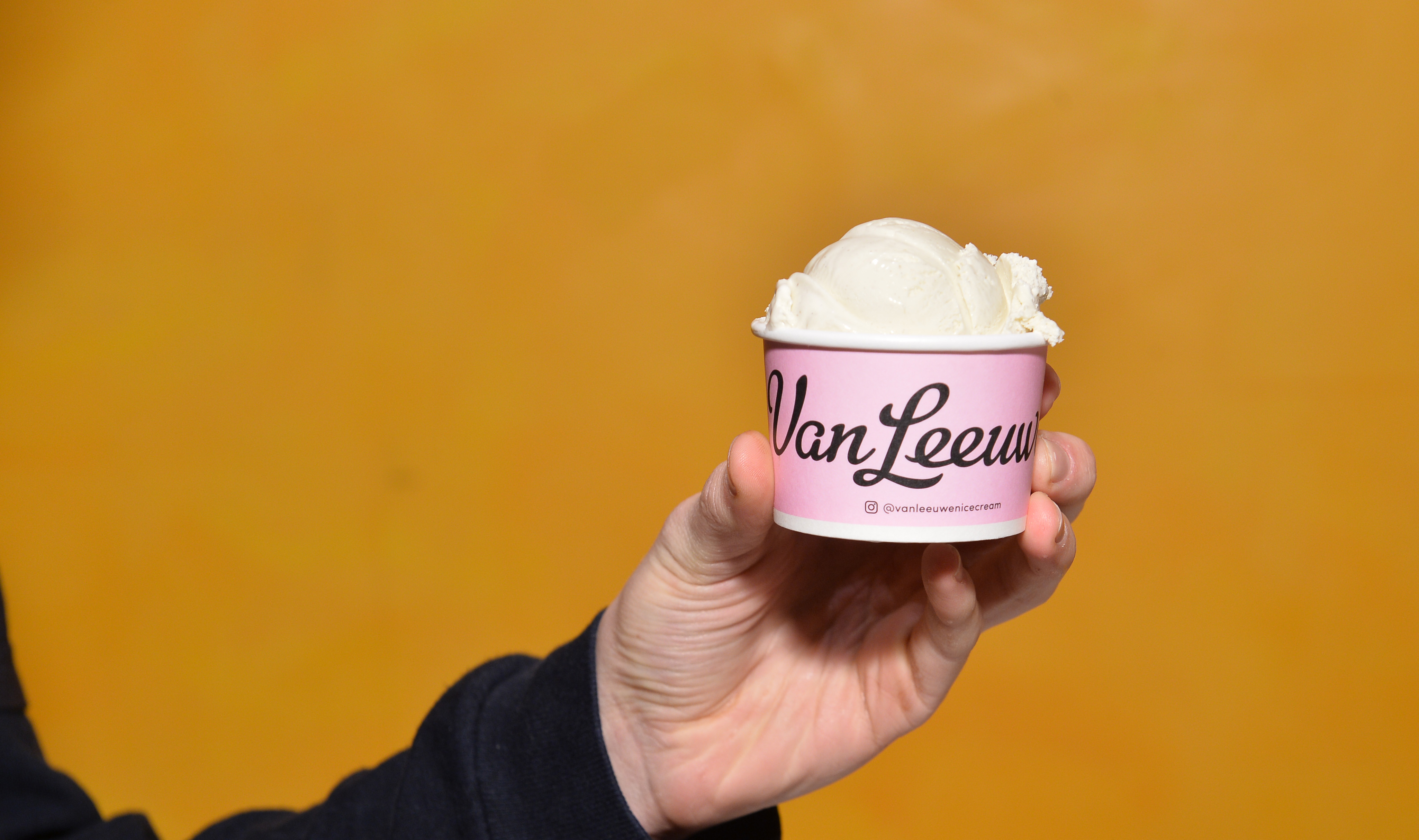 fortune.com - Sarah Glodek - How a DIY Adobe Illustrator design landed Rebel Creamery in a $23.8 million fight with Van Leeuwen