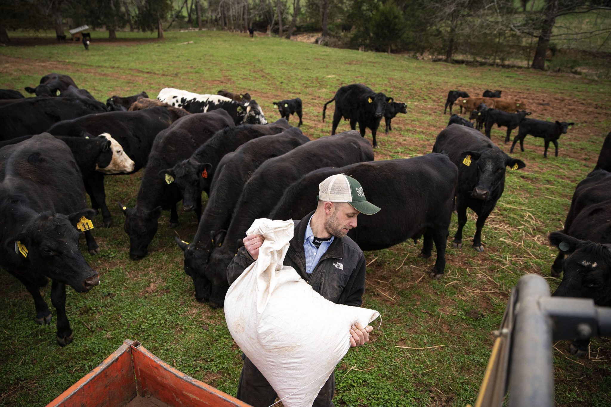 Record beef prices are minting fortunes for ranchers—but straining the American farmers who fatten their cattle