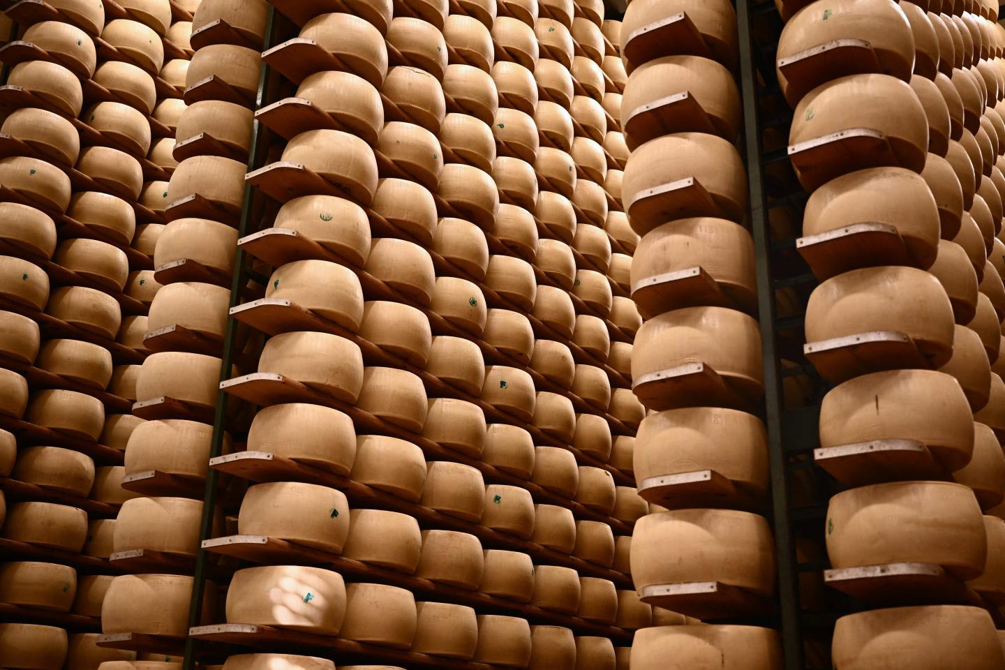 Wheels of Parmigiano Reggiano cheese on shelves