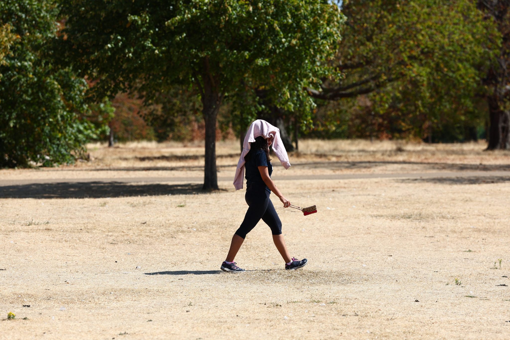 ‘Chronic’ heat risk in Europe draws warning from Swiss Re