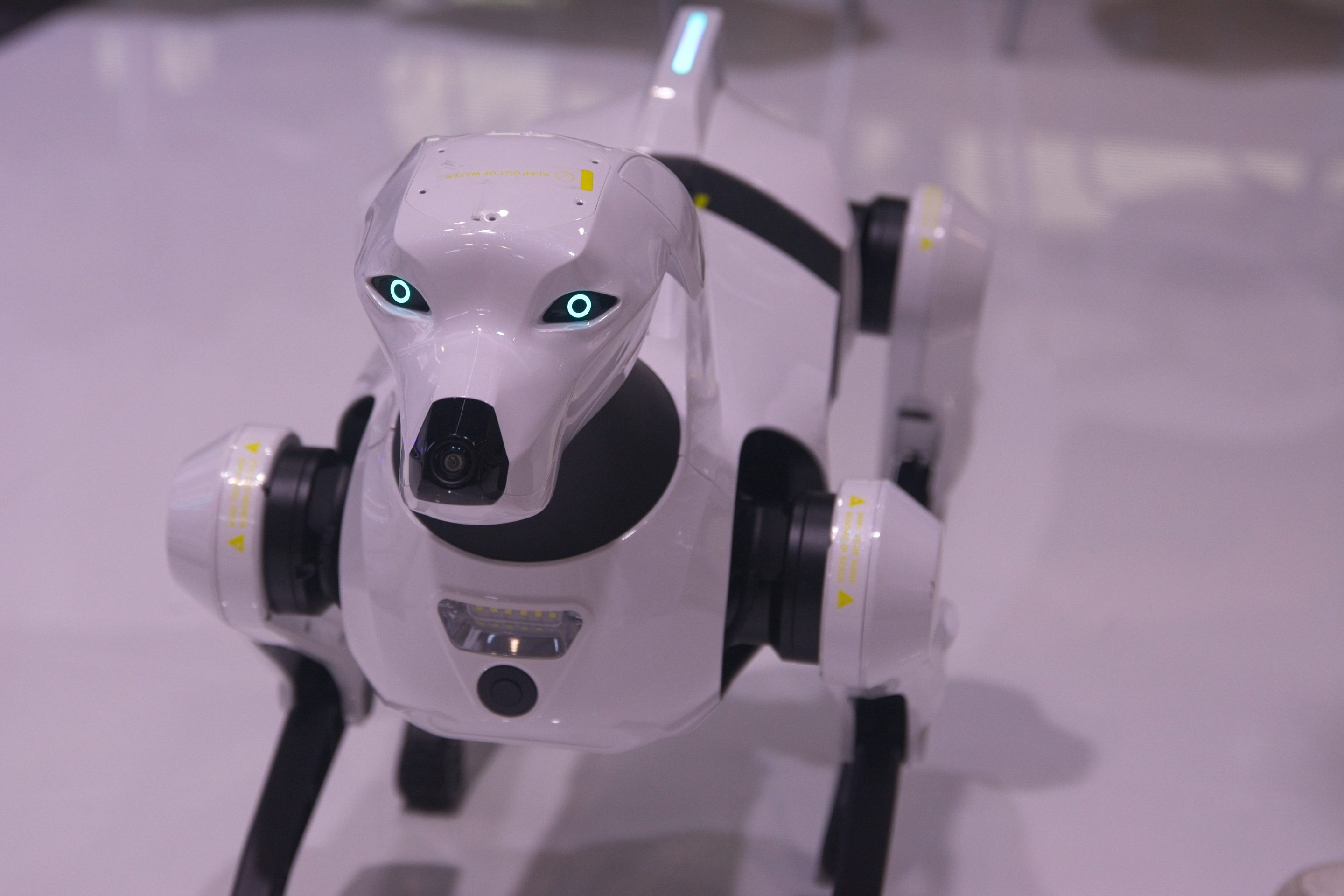 fortune.com - Alicia A. Caldwell - ICE explores purchasing robot dogs in enforcement tech push