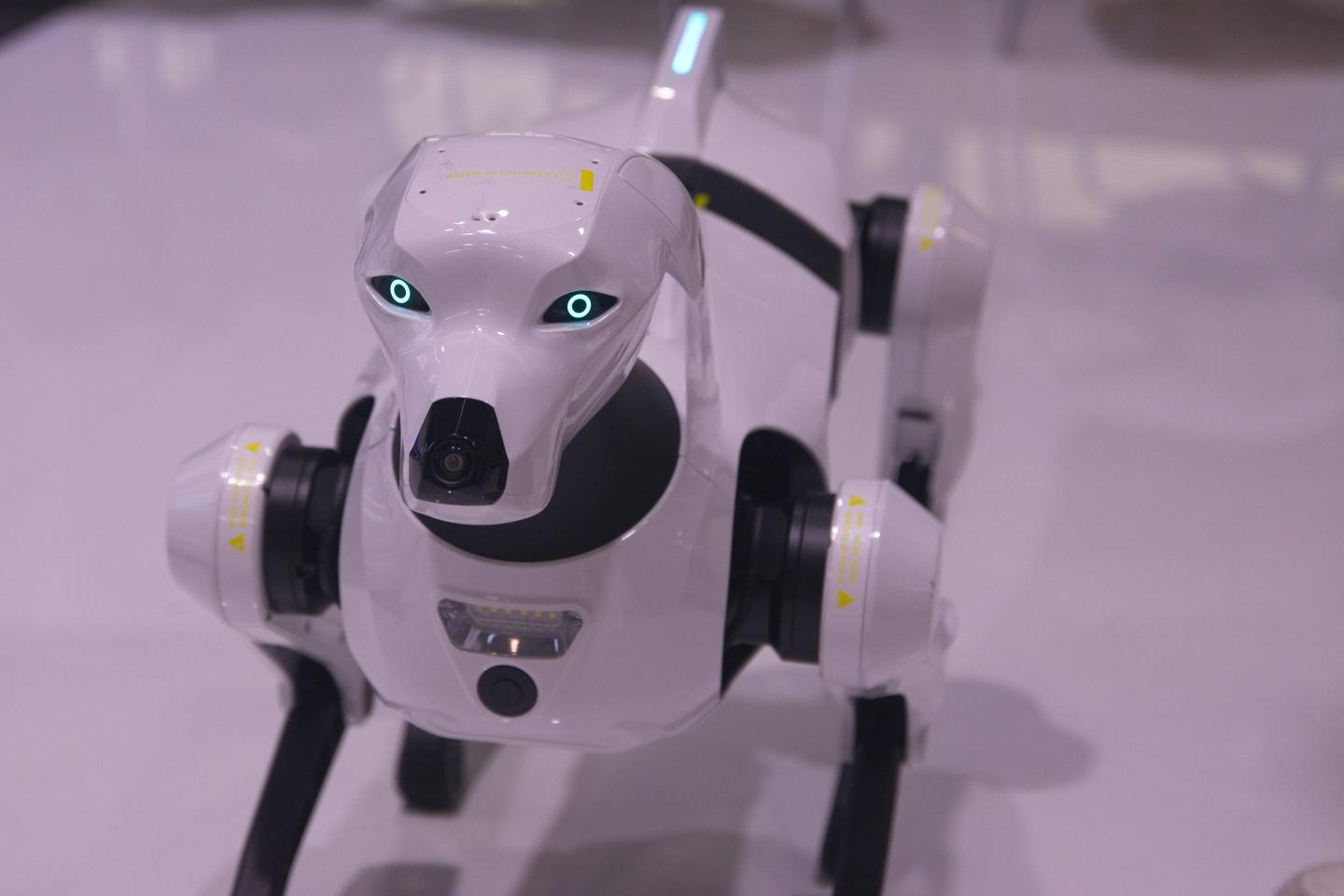 ICE explores purchasing robot dogs in enforcement tech push