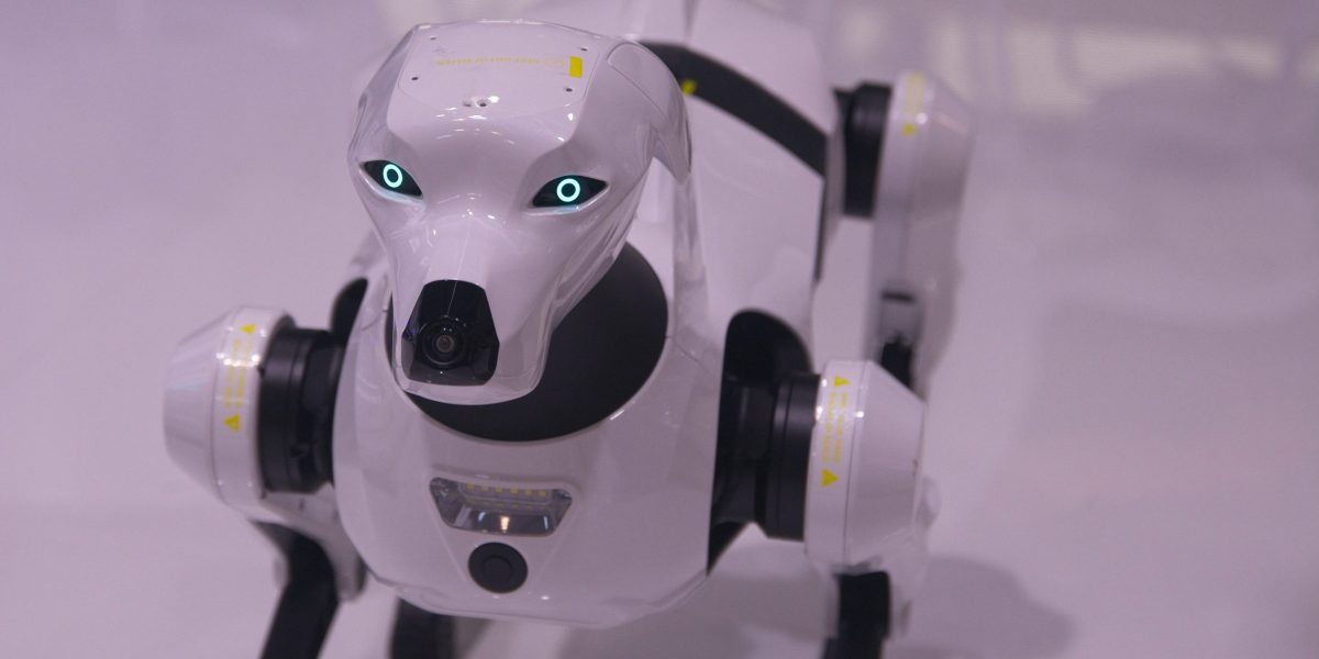 ICE explores purchasing robot dogs in enforcement tech push ICE explores purchasing robot dogs in enforcement tech push