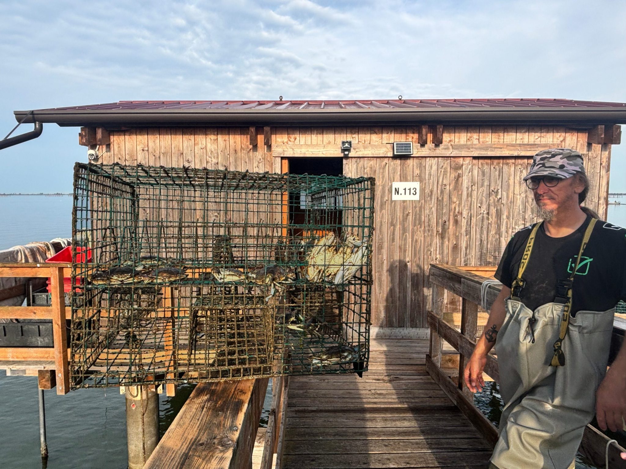 ‘If you can’t beat ’em, eat ’em’: Italy is turning its hated invasive crab into a multimillion-dollar business