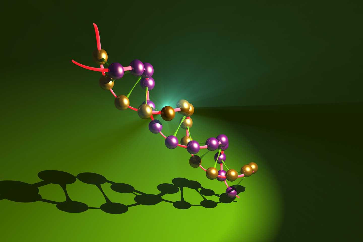 Image of a DNA double helix.