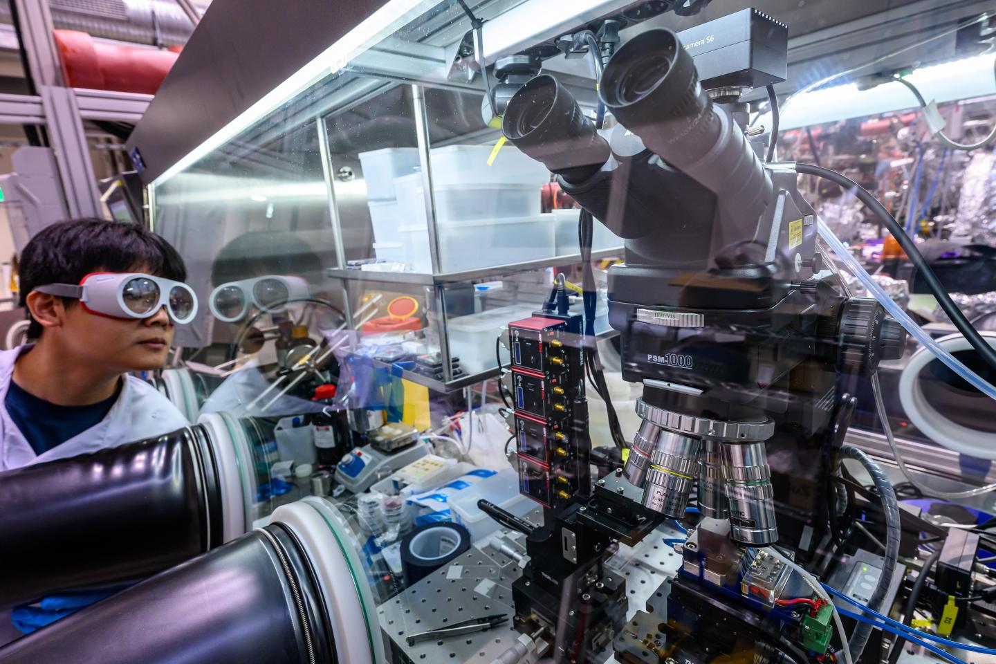Max Planck Institute opens new research building in Halle/Saale