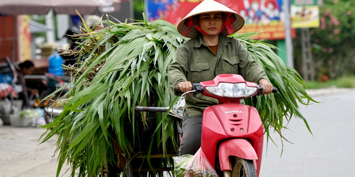 Vietnam is finally a FTSE emerging market—yet it’s the country’s banks, not its exporters, that’ll benefit most