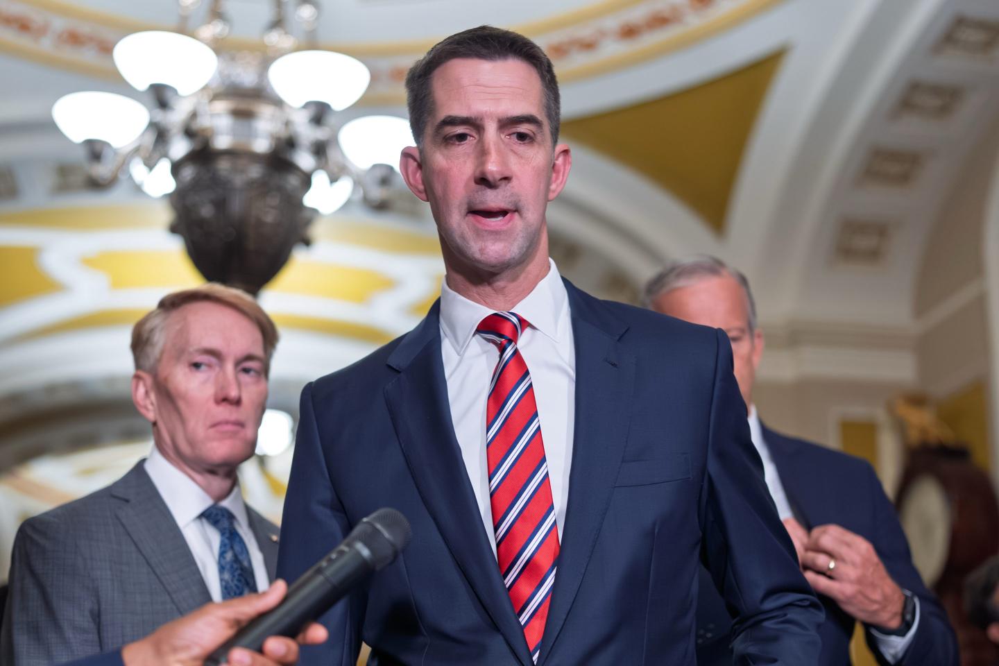 Sen. Tom Cotton, R-Ark., speaks to reporters at the Capitol in Washington.
