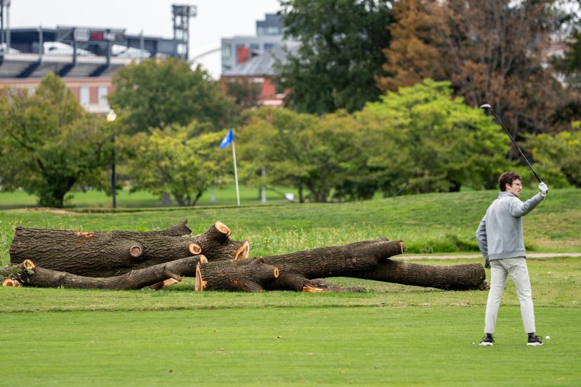 The National Park Service will remove more than 500 trees ‘that do not contribute to the historic landscape’ from a golf course Trump is redesigning