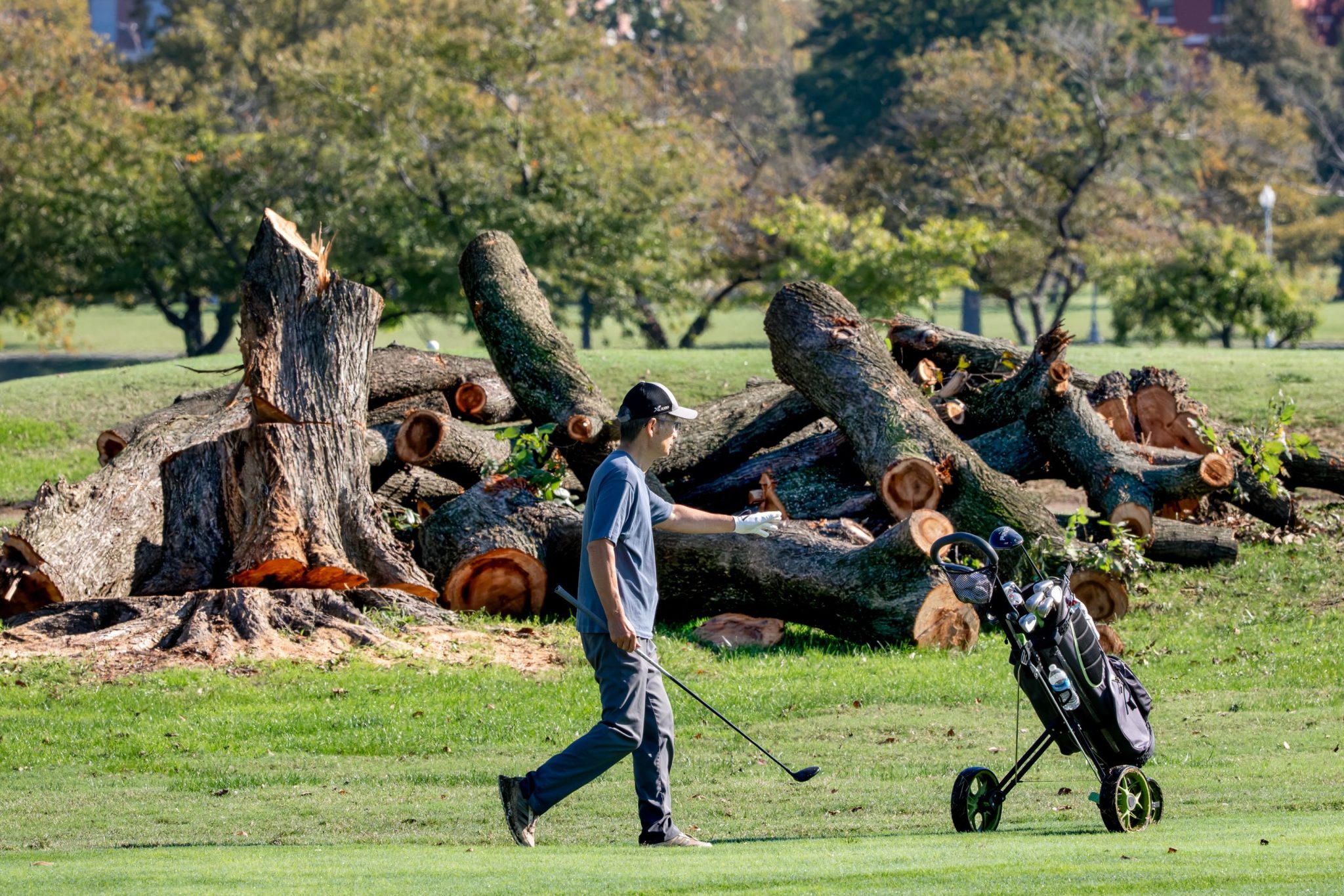 Trump to close historic DC golf course for 15 months of renovations, citing ‘disease infested trees,’ despite judge’s order to halt development plans