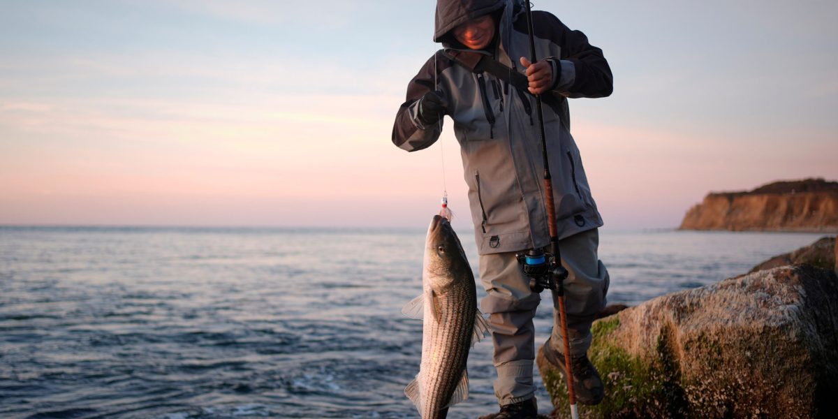 ‘We slayed fish with reckless abandon’: grizzled Long Island fishermen bemoan the damage they've wrought on the East Coast striped bass