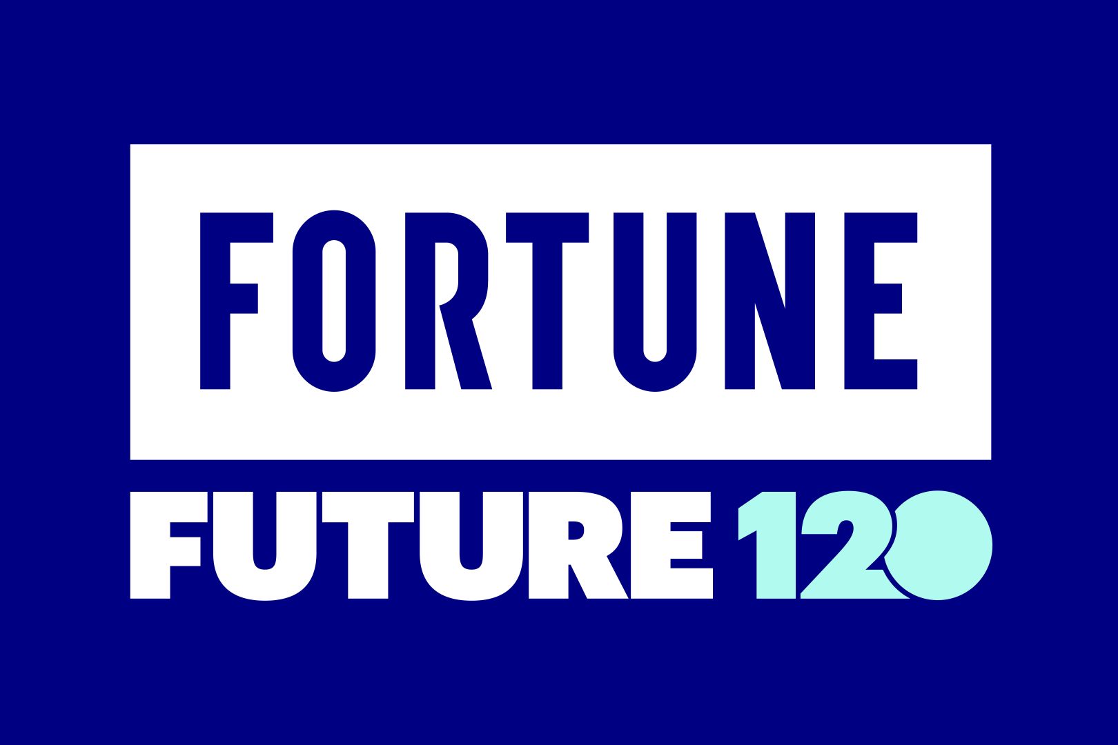 fortune.com - Ketil Gjerstad - The Future 120-How vital firms stay forever young